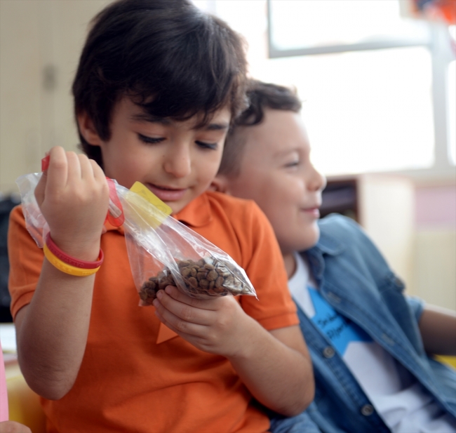 Hayvan sevgisini aşılamak için çocuklara kedi maması dağıtıldı